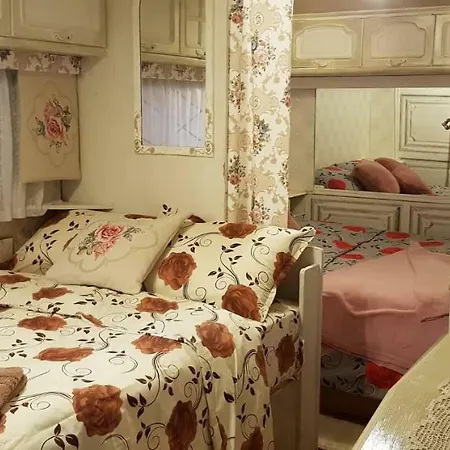 Didi Eco Villas 캠프장 데빈